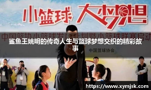 鲨鱼王姚明的传奇人生与篮球梦想交织的精彩故事
