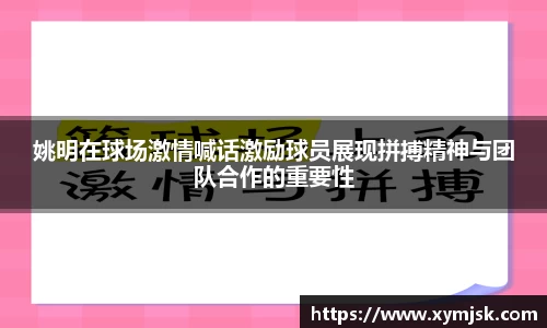好博体育官网