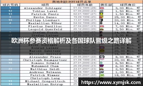 欧洲杯参赛资格解析及各国球队晋级之路详解